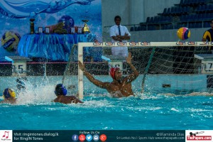 12087828_10154303155534251_5363842705079005198_o